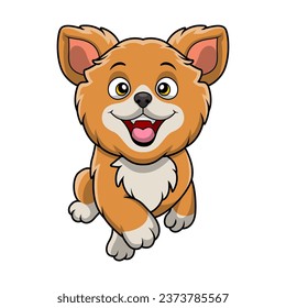Cute pomeranian dog cartoon on white background