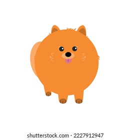 Cute pomeranian dog, cartoon-style vector illustration. Funny round red pomeranian spitz puppy icon isolated on white background.