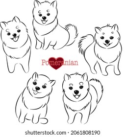 Cute Pomeranian Doodle Collection in Different Poses in Free Hand Drawing Vector Illustration Style.