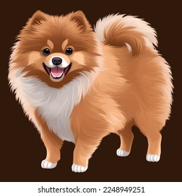 cute pomeranian drawn digital painting watercolor illustration