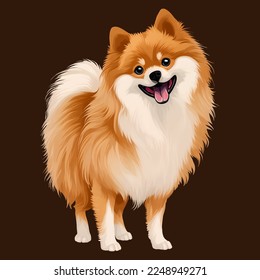 cute pomeranian drawn digital painting watercolor illustration