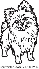 A cute Pomeranian Puppies illustration. Black and white line art with thick bold lines.