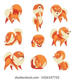 Cute Pomeranian Spitz in Different Poses Set, Funny Pet Dog Cartoon Character Vector Illustration