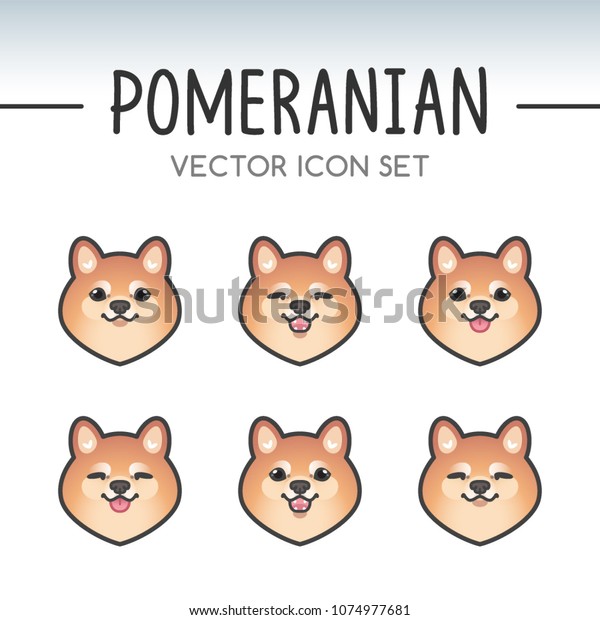 Cute Pomeranian Spitz Dog Breed Vector Stock Vector Royalty Free