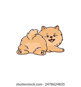 Lindo perro Pomeranian escupe con el culo encantador. Divertida mascota mintiendo, vista trasera. Pequeño cachorro de pura raza, animal Zwergspitz sonriendo. Ilustración vectorial aislada sobre fondo blanco