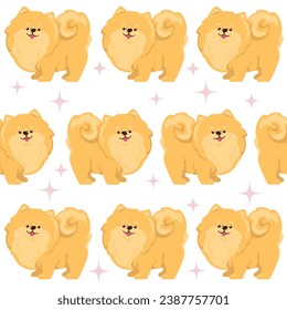 Cute Pomeranian Spitz dog, seamless vector pattern. Cute funny red puppies isolated on white background.