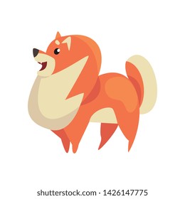 Cute Pomeranian Spitz, Funny Purebred Pom Pet Dog Cartoon Character, Side View Vector Illustration
