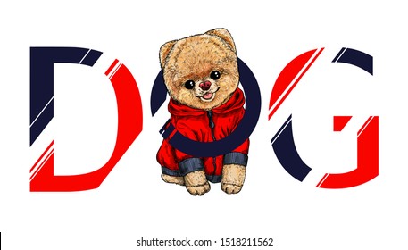 Cute pomeranian toy dog dressed in red hoodie with black zip, head in the letter O of the word DOG, vector illustration.