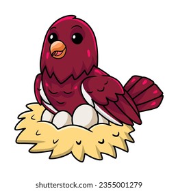 Cute pompadour cotinga bird cartoon with eggs in the nest