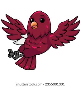 Cute pompadour cotinga bird cartoon flying