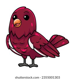 Cute pompadour cotinga bird cartoon