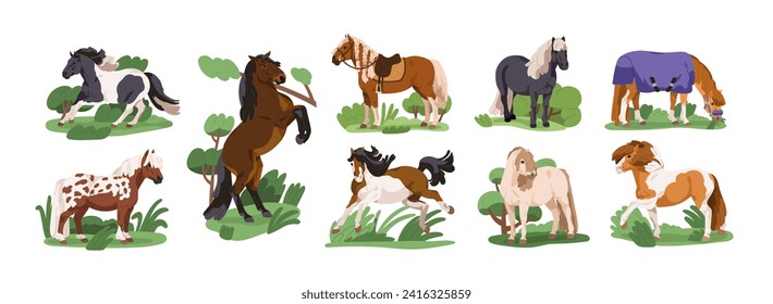 Se han puesto ponis bonitos. Terneros, pequeñas razas de caballos en miniatura. Mini animales equinos corriendo, caminando, pastoreando, parados, retozando en la naturaleza. Ilustraciones vectoriales planas aisladas en fondo blanco