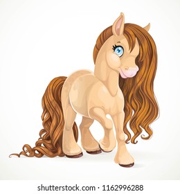 Cute pony with brown mane isolated on a white background