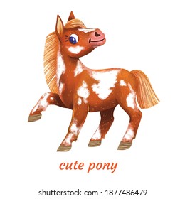 cute pony. cartoon vector illustration