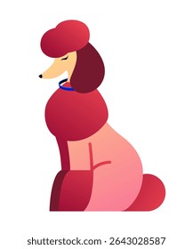 Cute Poodle - colorful flat design style object