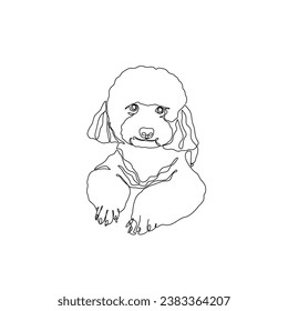 Cute poodle, continuous line drawing, dog pet small tattoo, doggy print for clothes, silhouette one single line on white background, isolated vector illustration.