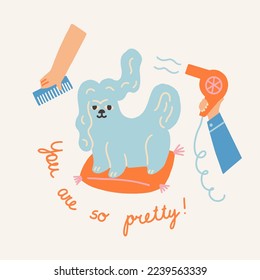 Cute poodle dog blowing dry and brushing in the grooming salon illustration in vector. Love card with text quote You are so pretty. 