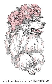 Cute poodle dog in a flower wreath. Spring portrait of a dog. Stylish image for printing on any surface