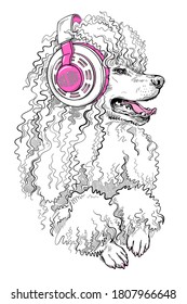 
Cute poodle dog in headphones. Stylish image for printing on any surface