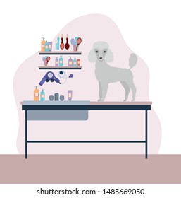 cute poodle dog pet character