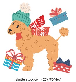 Cute poodle dog in winter hat and scarf surrounded by Christmas gifts, flat vector illustration isolated on white background. Happy Christmas and New Year.