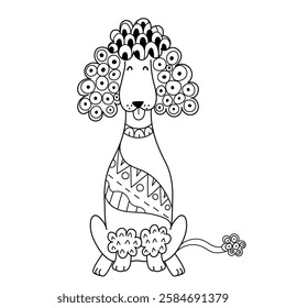 Cute poodle in doodle style isolated on white background. Hand drawn zentangle poodle dog in outline for coloring page or prints. Vector illustration