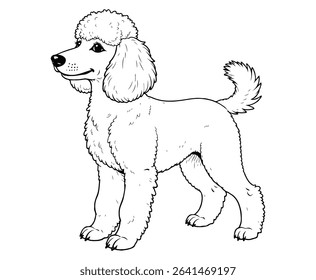 Cute poodle Illustration Coloring Book