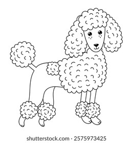 Cute poodle isolated on white background. Hand drawn poodle dog in outline for coloring page or prints. Vector illustration