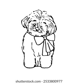 cute poodle mixed breed puppy doodle sitting looking at camera with bow on neck - hand drawn line sketch