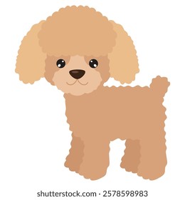 Cute poodle puppy  dog vector cartoon illustration