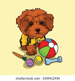 Cute poodle puppy wearing shirt with toys illustration