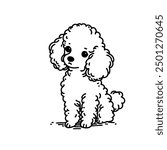 A cute poodle is sitting on the ground. The dog has a sad expression on its face
