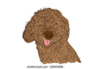 cute poodle smile vector