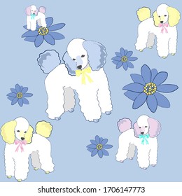 Cute poodle. Summer illustration.  Happy small dog.  Cute funny cartoon character.