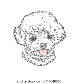 Cute poodle. Vector illustration. Fashion & Style. Beautiful dog.