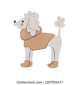 Cute Poodle In Warm Clothes. Funny Smiling White Dog In Autumn Or Winter Outfit. Puppy Wearing Sweater And Boots. Childish Pet Vector Illustration