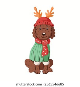 Cute poodle wearing hat with deer antlers and sweater flat color vector character. Funny dog in Christmas clothes illustration on white