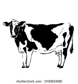 Cute And Pop Cow Illustration Material