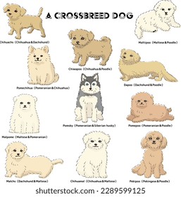 Cute popular mixed dog hand-drawn line drawing vector illustration set