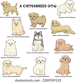 Cute popular mixed dog hand-drawn line drawing vector illustration set