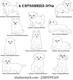 Cute popular mixed dog hand-drawn line drawing vector illustration set (black and white)