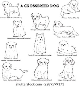 Cute popular mixed dog hand-drawn line drawing vector illustration set (black and white)