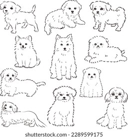 Juego de ilustraciones vectoriales de líneas dibujadas a mano de perros mixtos muy populares (blanco y negro)