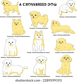 Cute popular mixed dog hand-drawn line drawing vector illustration set