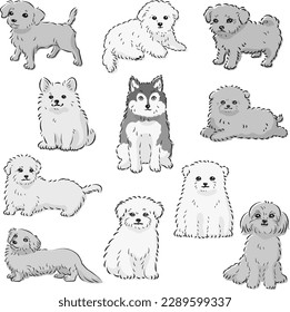 Juego de ilustraciones vectoriales de líneas dibujadas a mano de perros mixtos muy populares (blanco y negro)