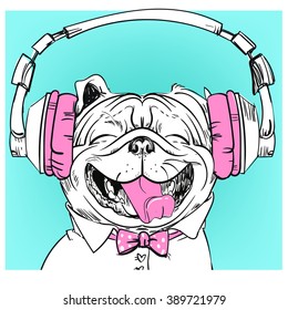 Cute portrait of a dog with headphones. 