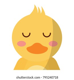 cute portrait duck animal baby with close eyes