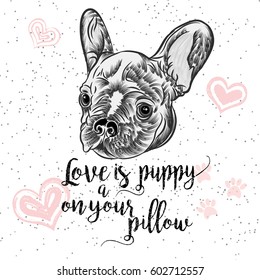 Cute portrait of French Bulldog  dog. Vector illustration isolated on white background with pink heart and love sign.