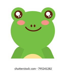 cute portrait frog animal baby