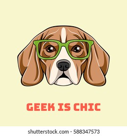 Cute portrait of nerdy beagle dog. Geek is chic. Vector illustration isolated on white background